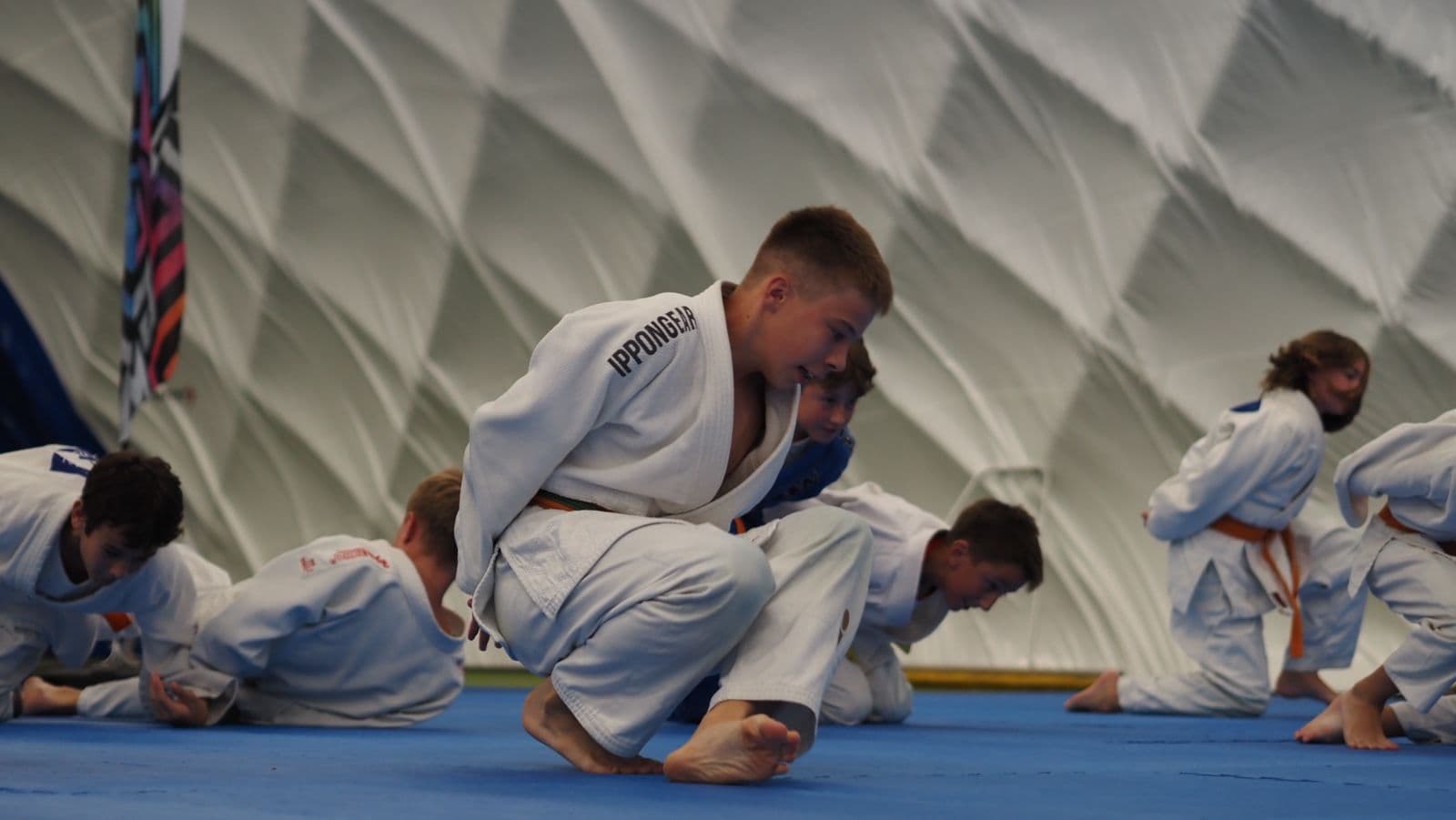 Plazení na tatami